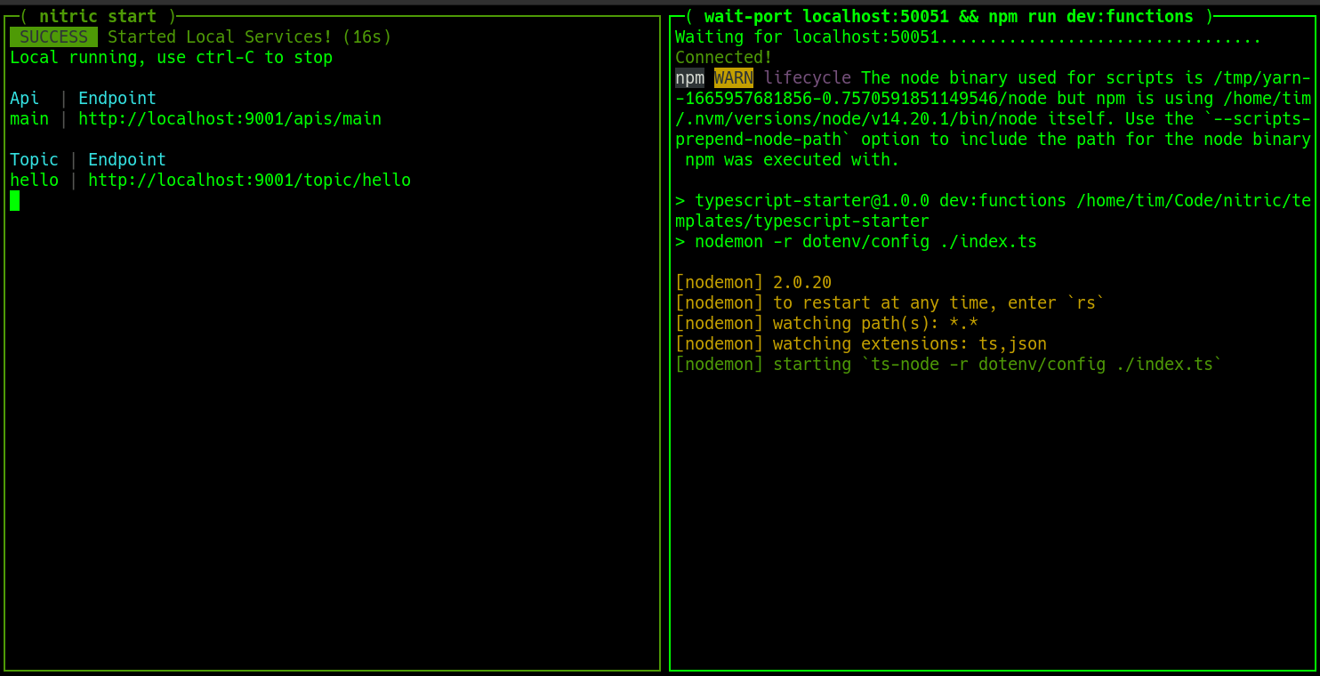 nitric start running in a terminal